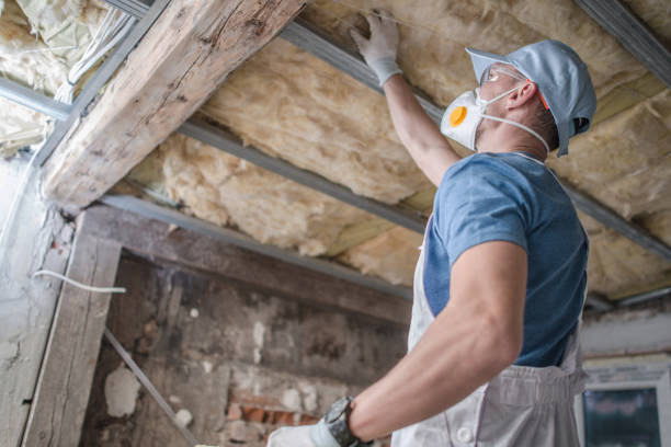 Best Cellulose Insulation in Tipp City, OH