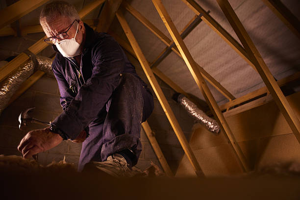 Best Geographic-Specific Insulation Services in Tipp City, OH